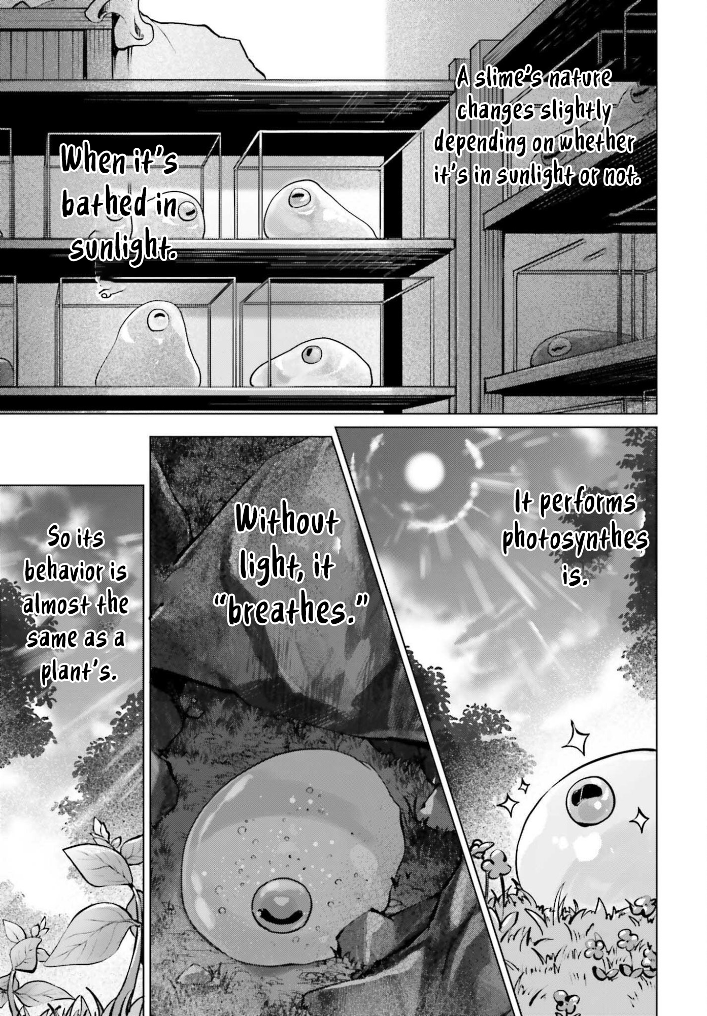 Read The Reincarnated Hero Starts a Slow Frontier Life Manga Online