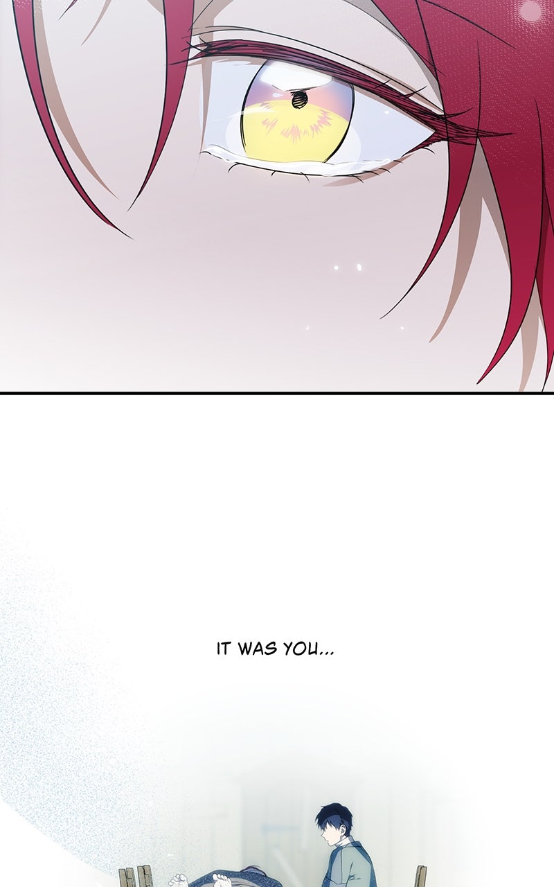 Read The Spark in Your Eyes Manga Online