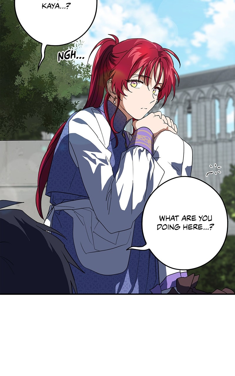 Read The Spark in Your Eyes Manga Online