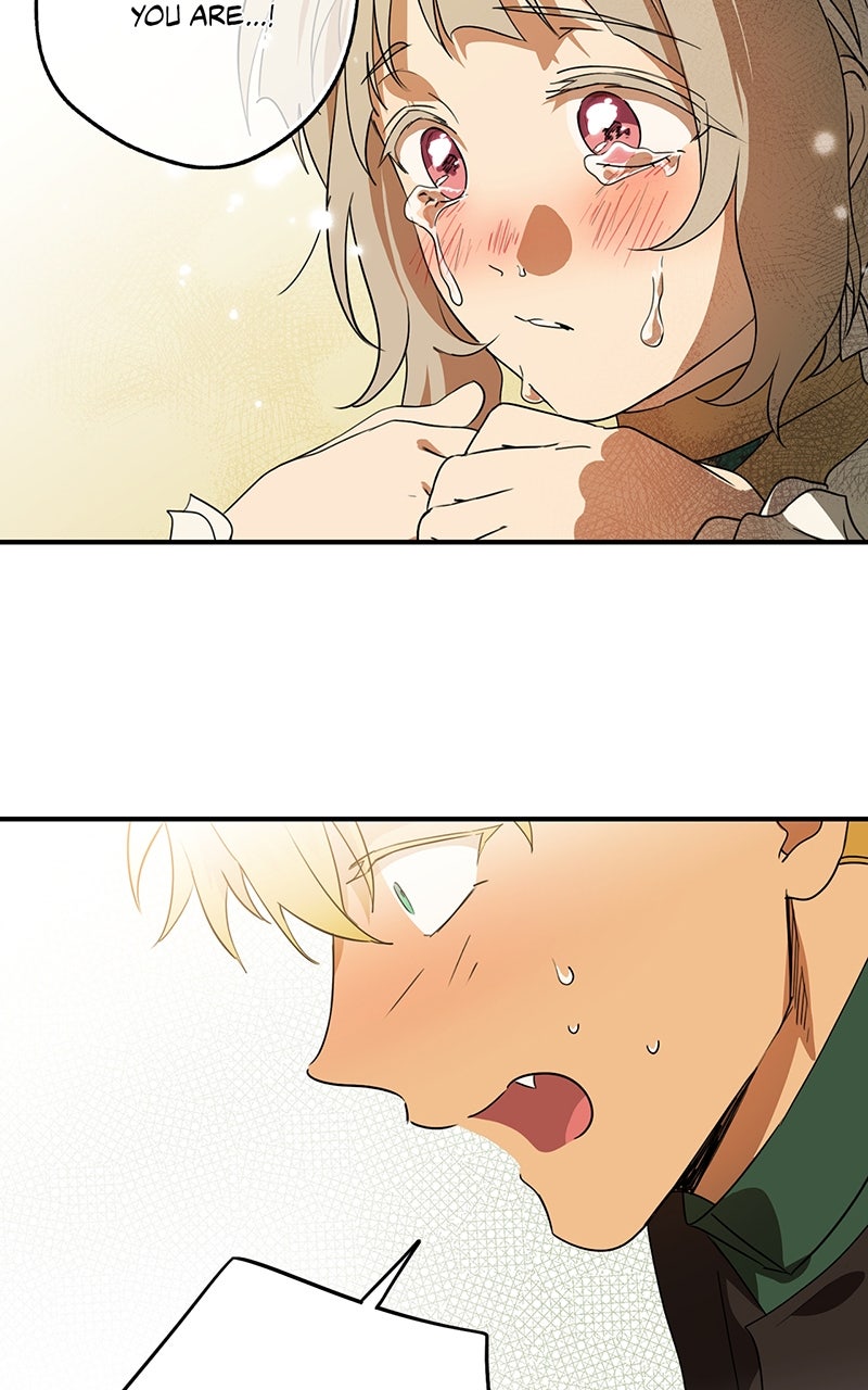 Read The Spark in Your Eyes Manga Online