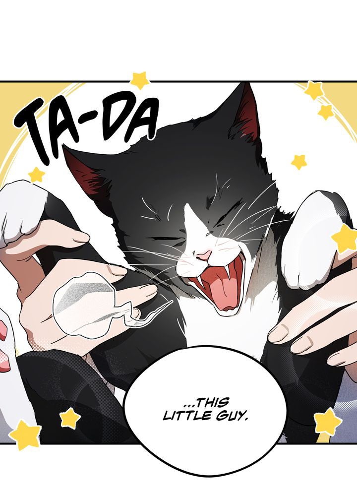 Read The Spark in Your Eyes Manga Online