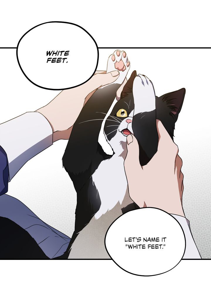 Read The Spark in Your Eyes Manga Online