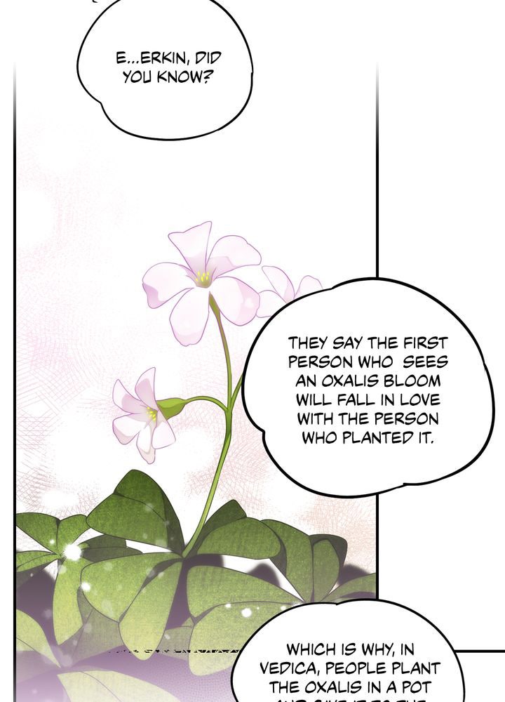 Read The Spark in Your Eyes Manga Online