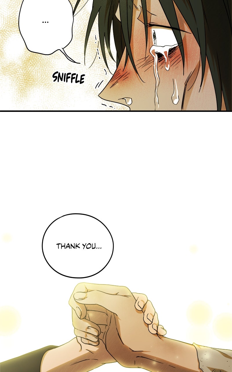 Read The Spark in Your Eyes Manga Online