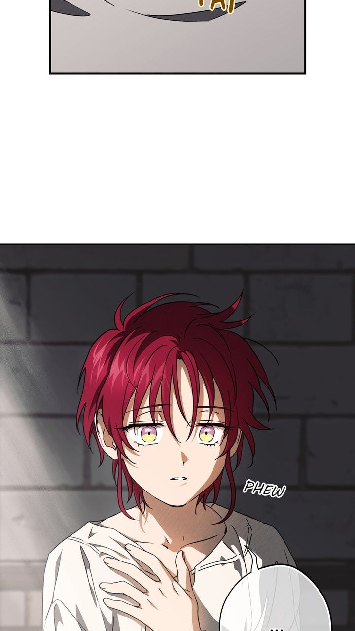 Read The Spark in Your Eyes Manga Online