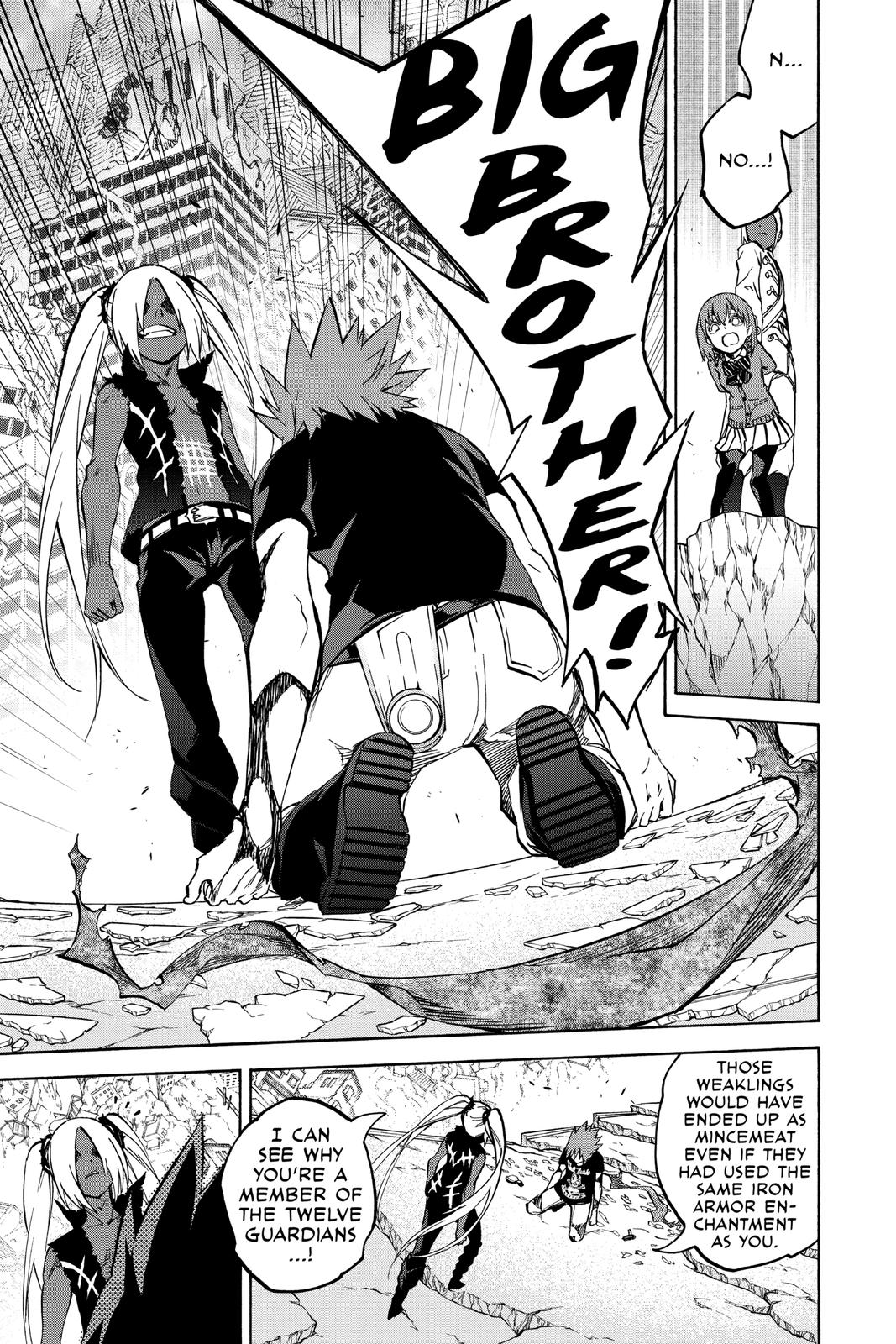 Read Twin Star Exorcists Manga Online