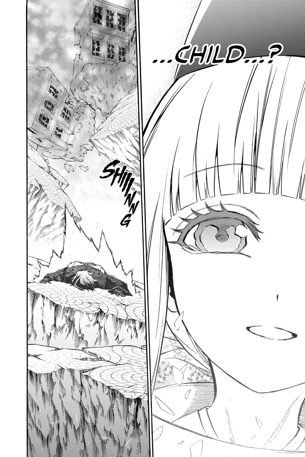 Read Twin Star Exorcists Manga Online