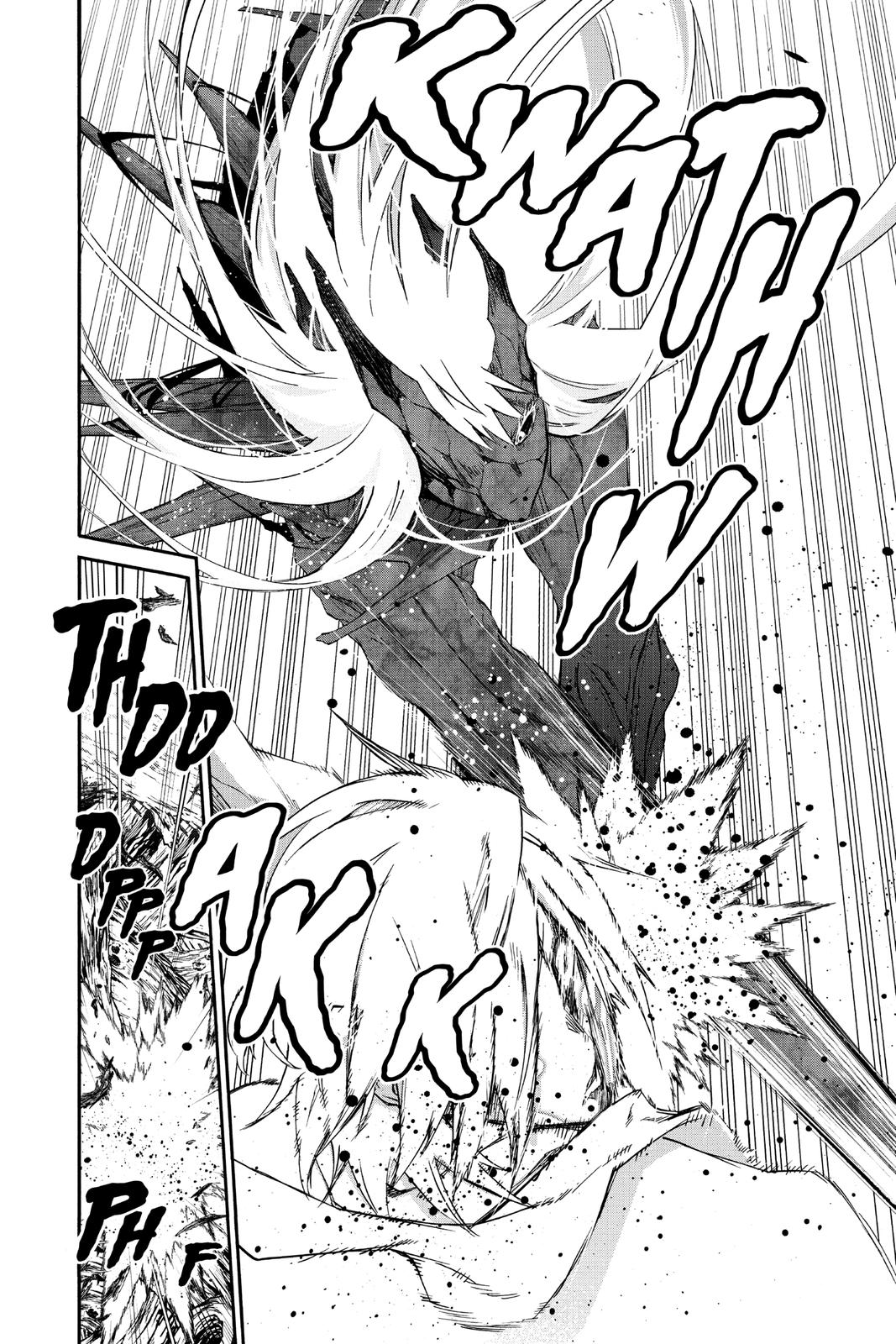 Read Twin Star Exorcists Manga Online