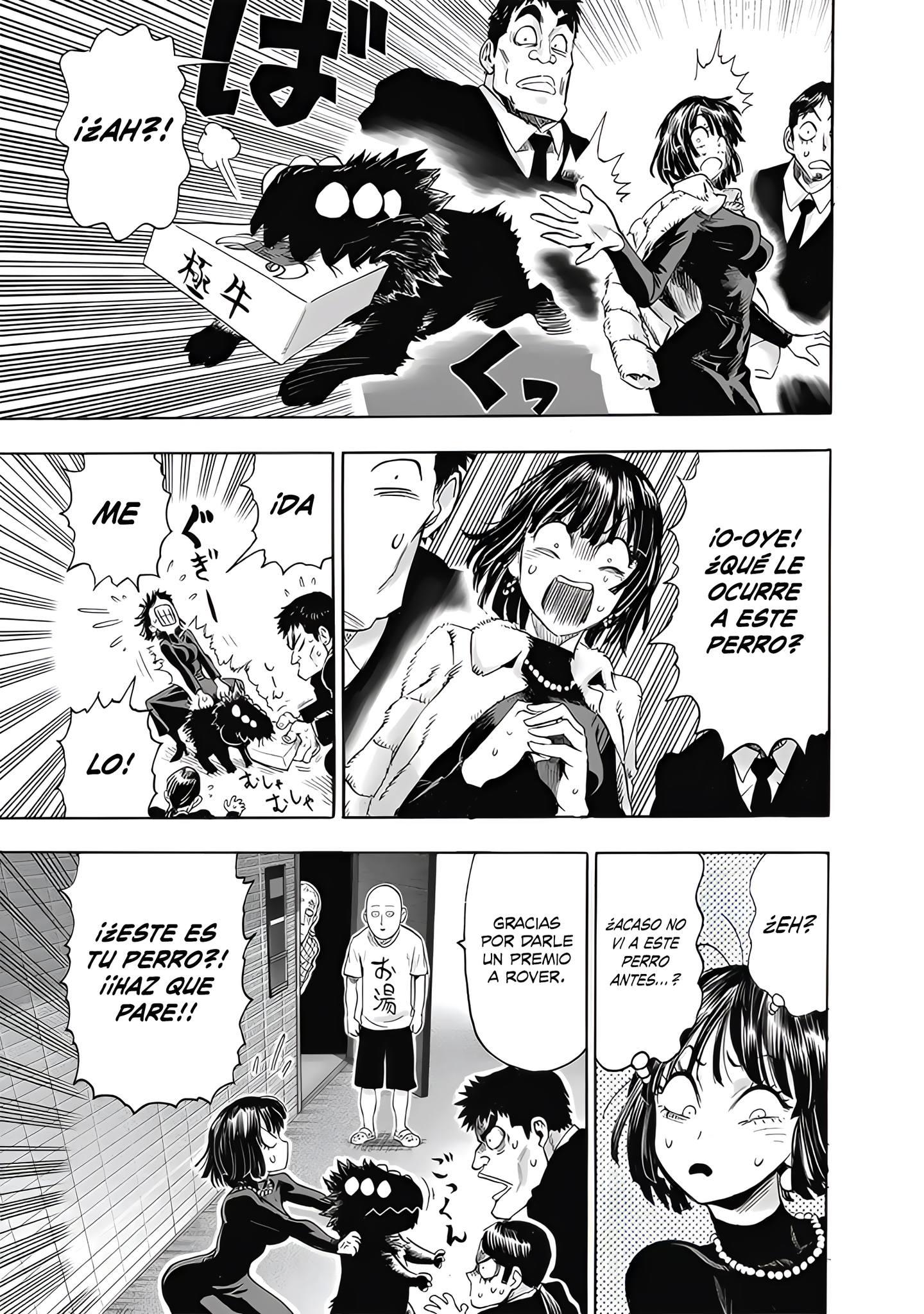 Read One Punch Man ES Manga Online
