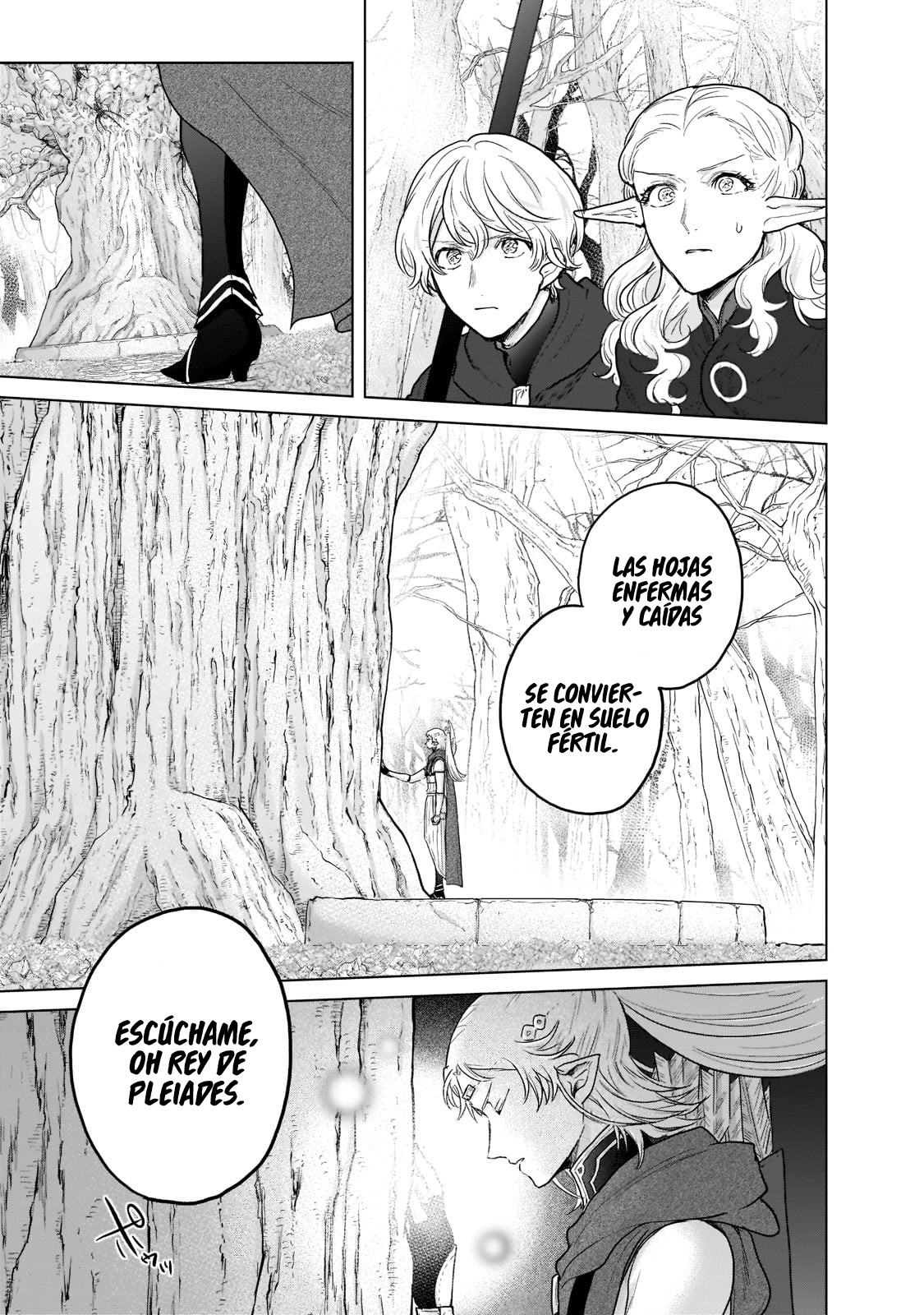 Read Saihate no Paladin ES Manga Online