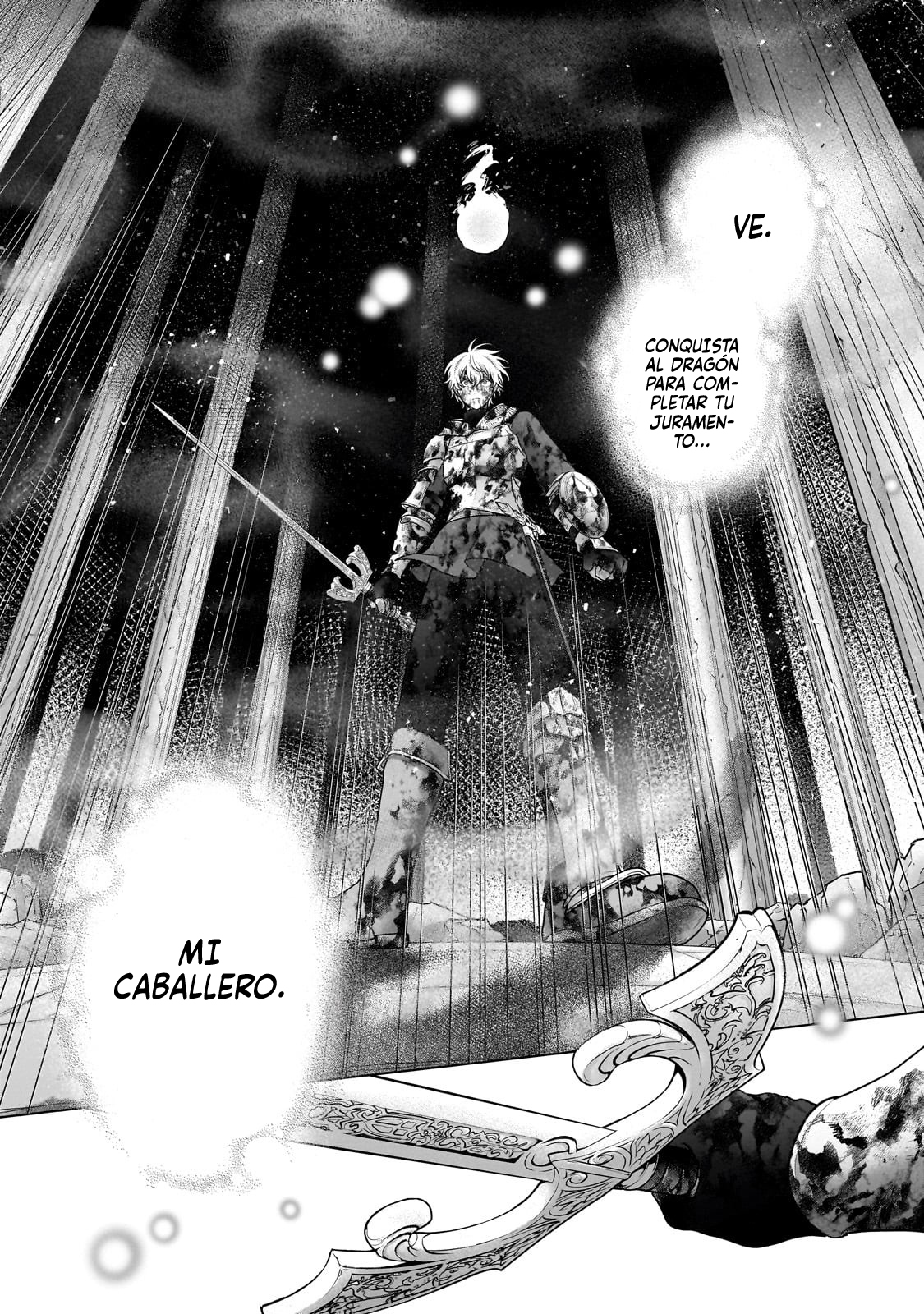 Read Saihate no Paladin ES Manga Online
