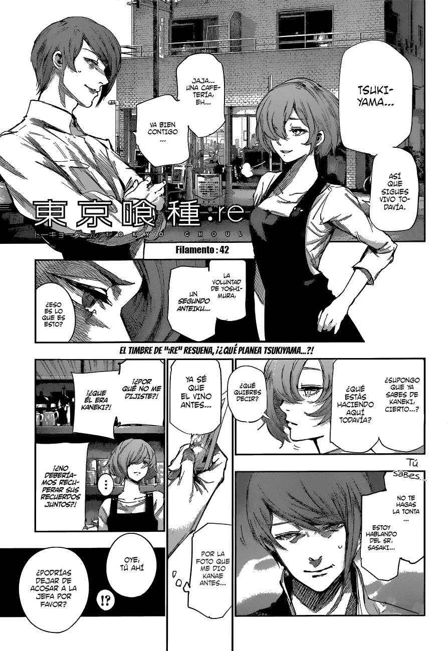 Read Tokyo Ghoul Re ES Manga Online