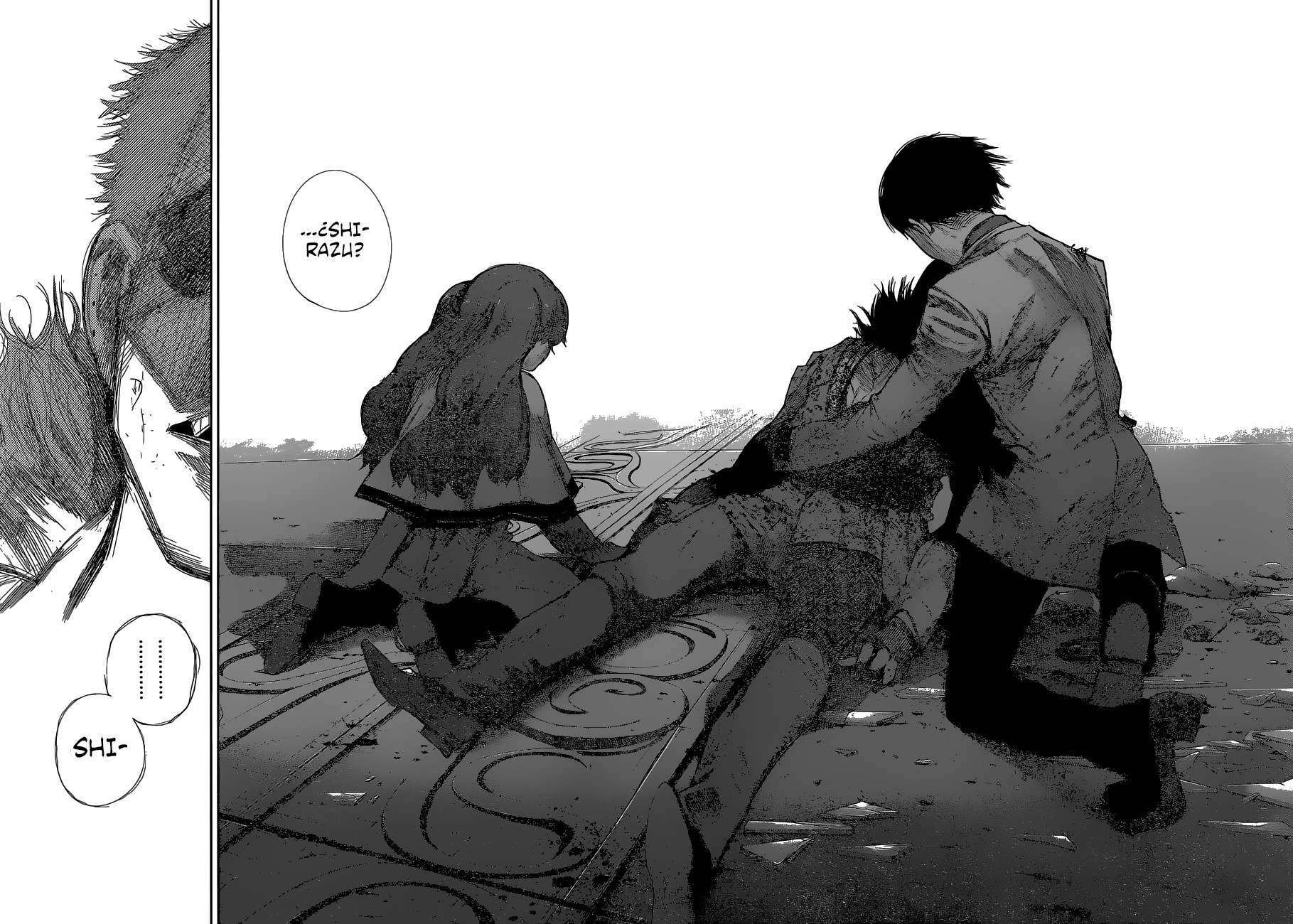 Read Tokyo Ghoul Re ES Manga Online