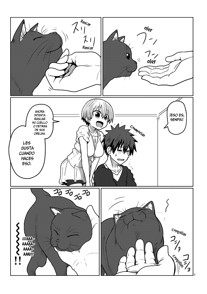 Read Uzaki-chan wa Asobitai! ES Manga Online