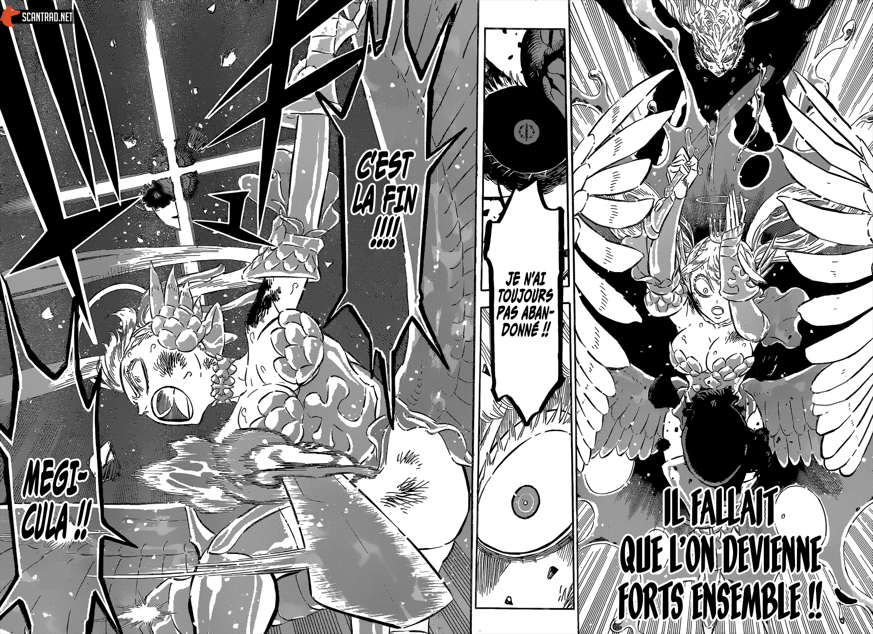 Read Black Clover FR Manga Online