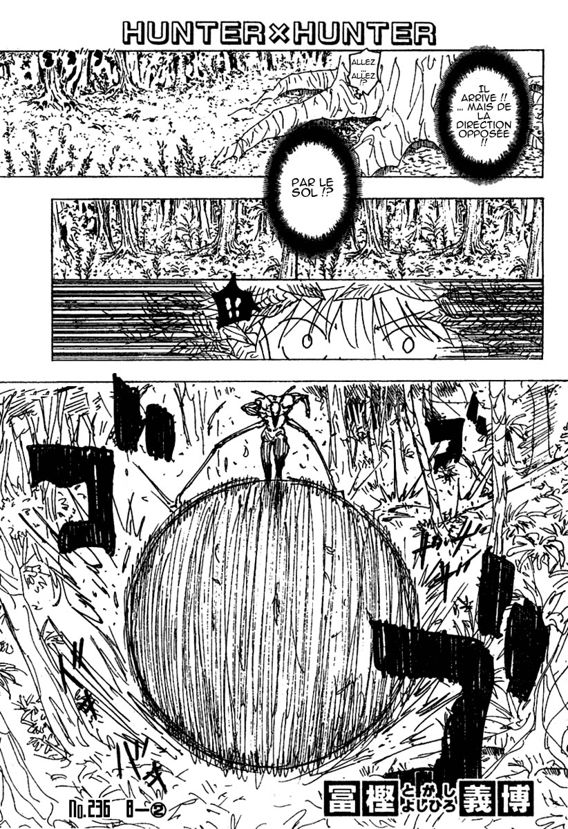 Read Hunter X Hunter FR Manga Online