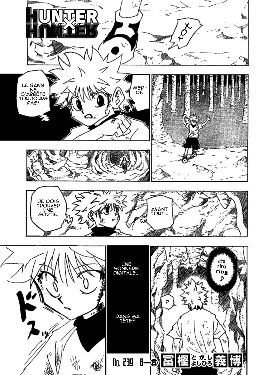 Read Hunter X Hunter FR Manga Online