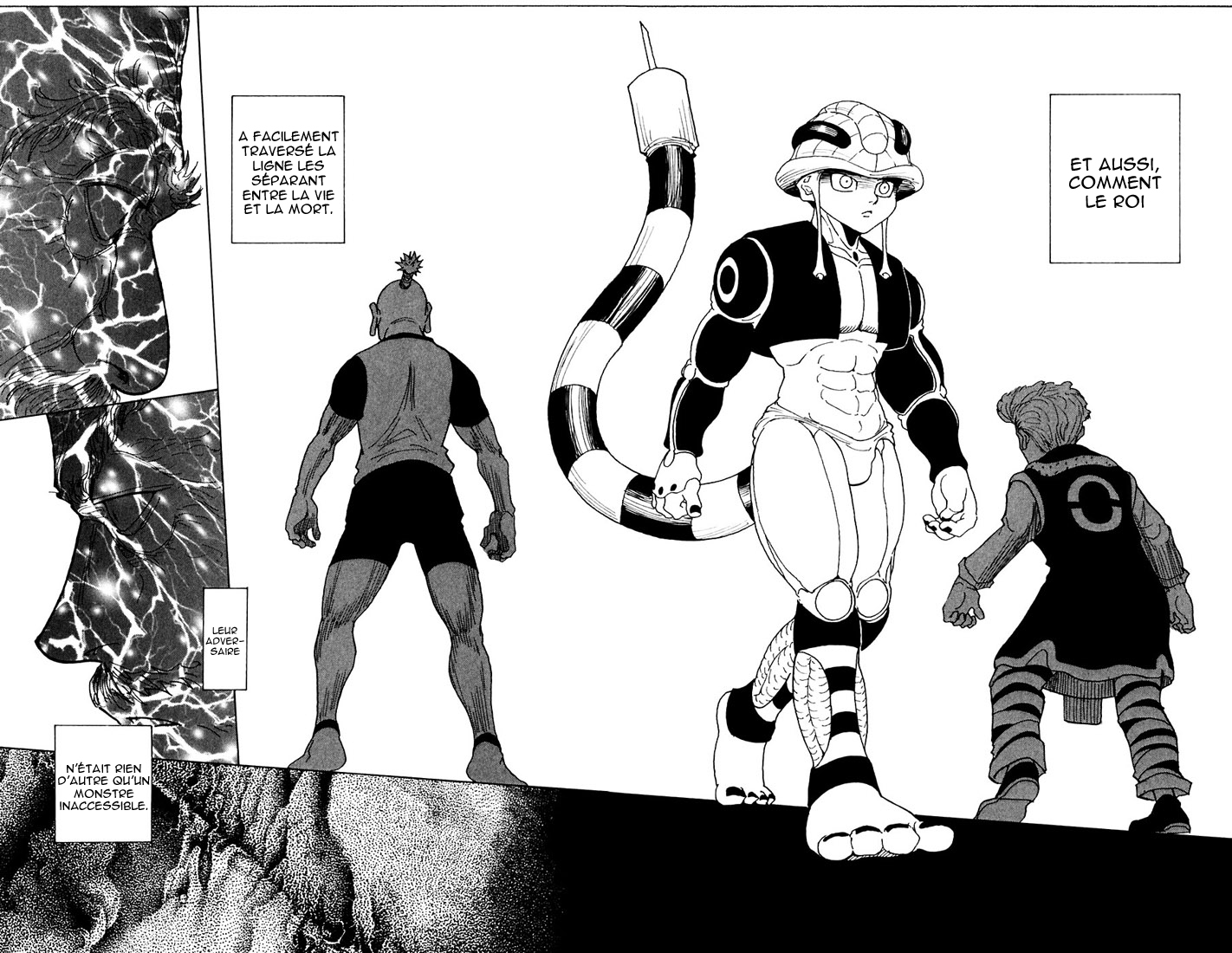 Read Hunter X Hunter FR Manga Online