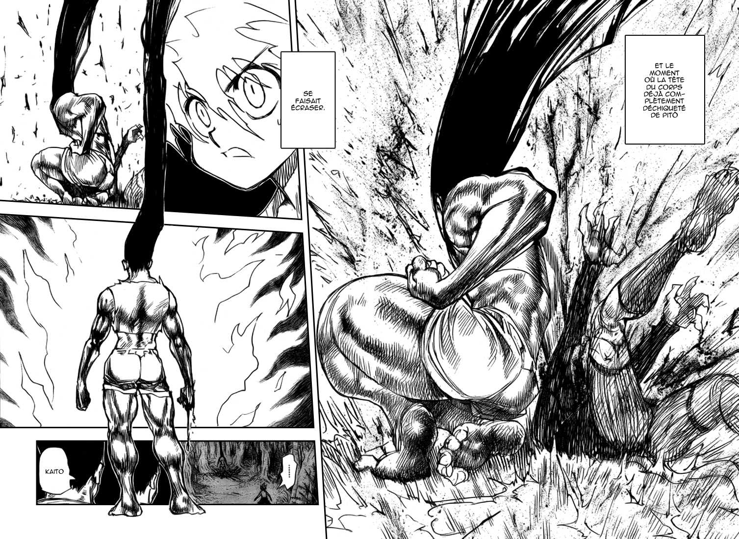 Read Hunter X Hunter FR Manga Online