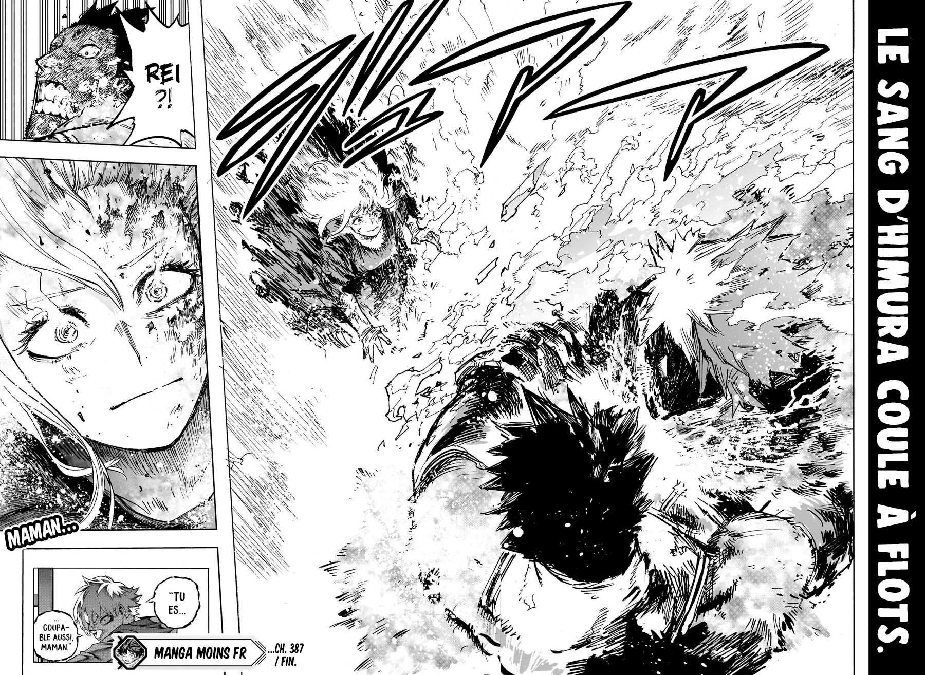 Read My Hero Academia FR Manga Online