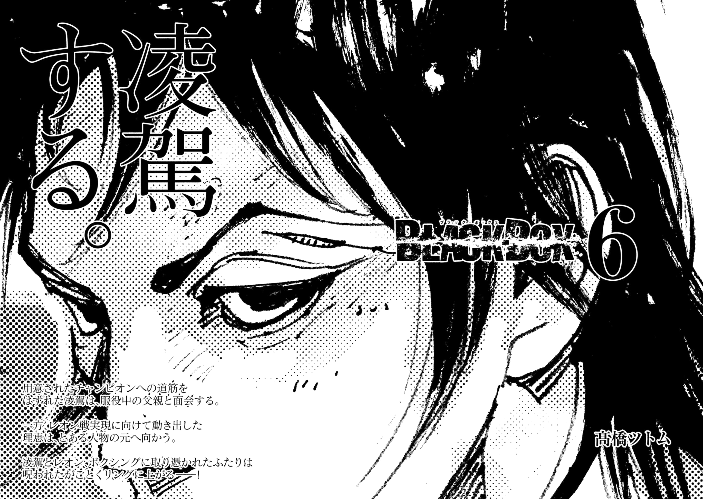 Read Black Box IT Manga Online
