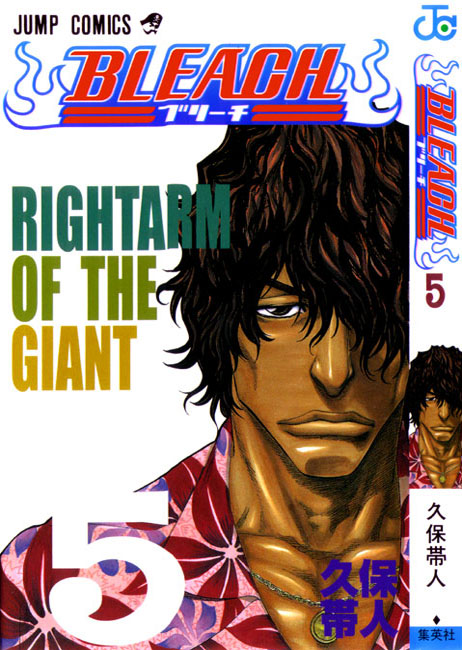 Read Bleach IT Manga Online