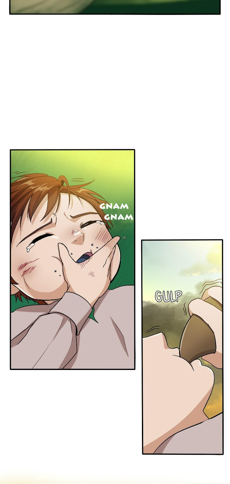 Read The Beginning After the End IT Manga Online
