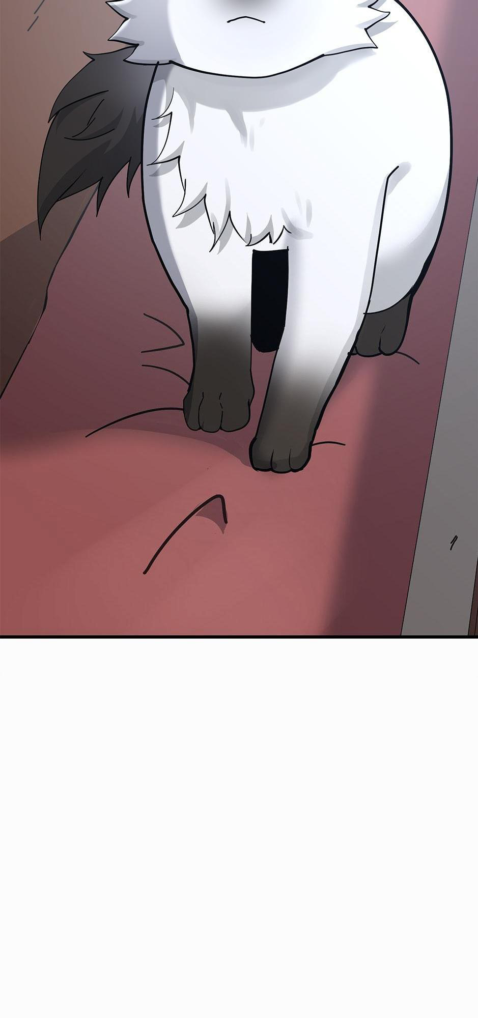 Read The Beginning After the End IT Manga Online