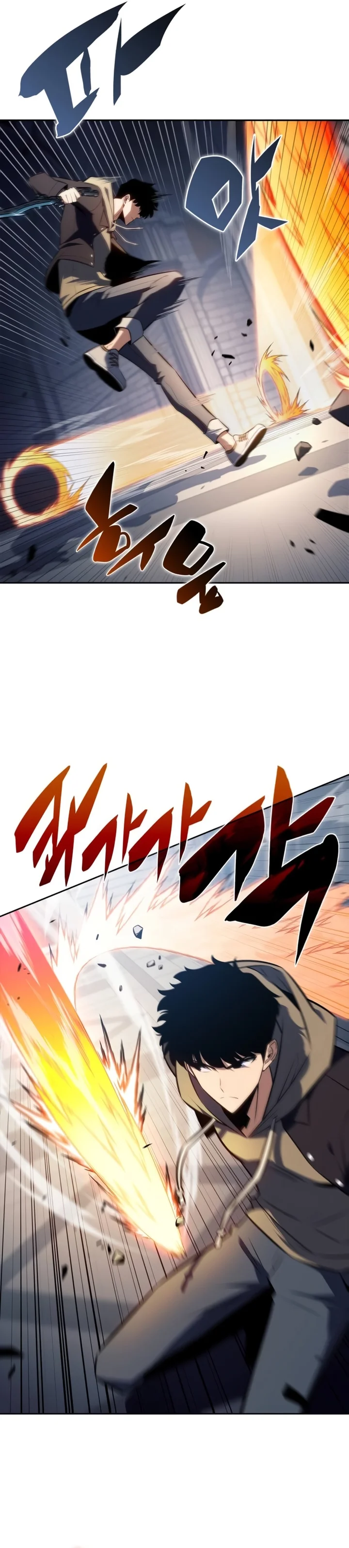 Read Solo Max Level Newbie PT Manga Online