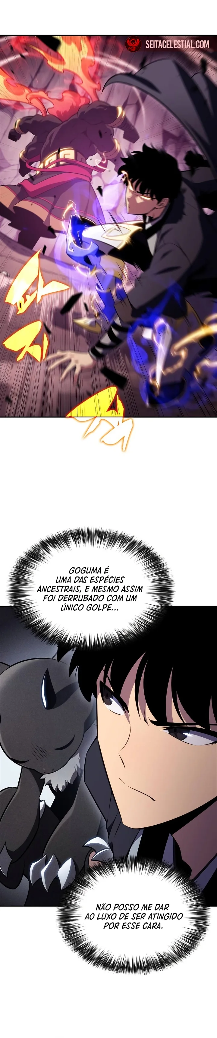 Read Solo Max Level Newbie PT Manga Online