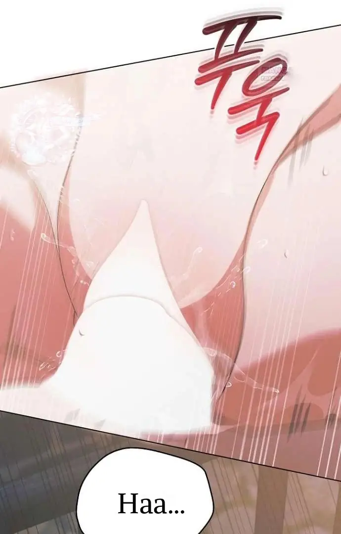 Read Vengeance Named Love PT Manga Online